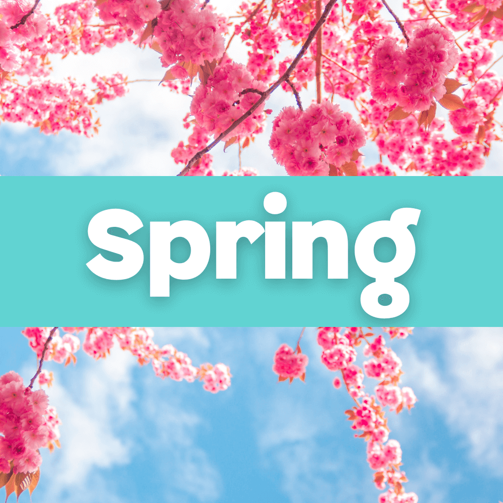 Spring Printables – Bingo Printables