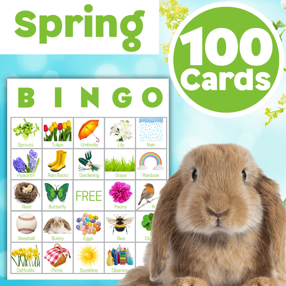 Spring Bingo Cards 🦋