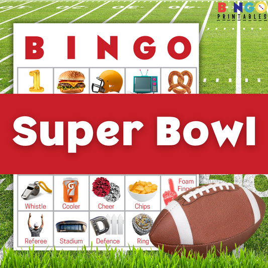 Super Bowl Bingo For Adults Printable PDF 🏈